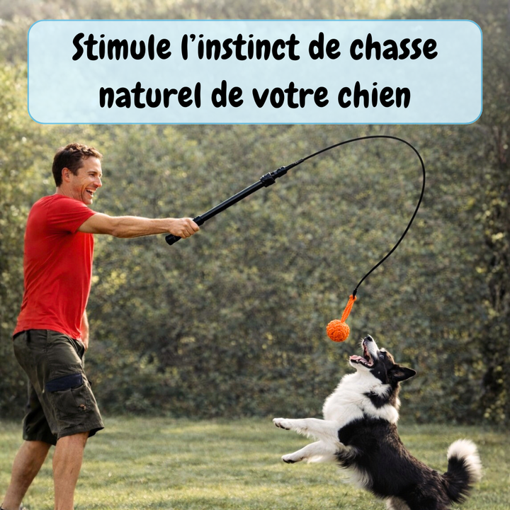 Bâton de poursuite