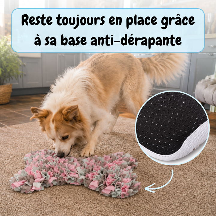 Tapis de fouille