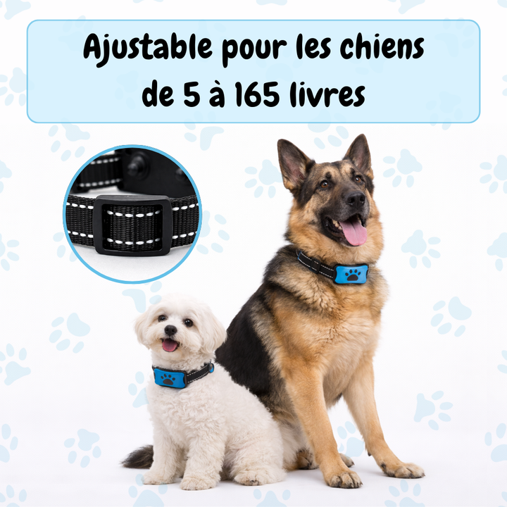 Collier Anti-aboiement EduBark™