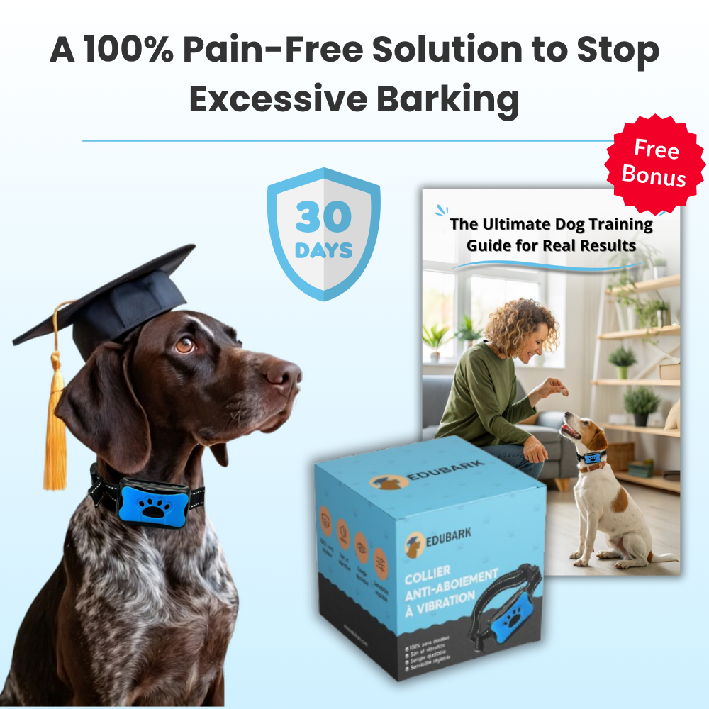 Nos produits de bien-être canin
