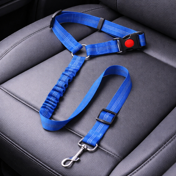 Dog Seat Belt