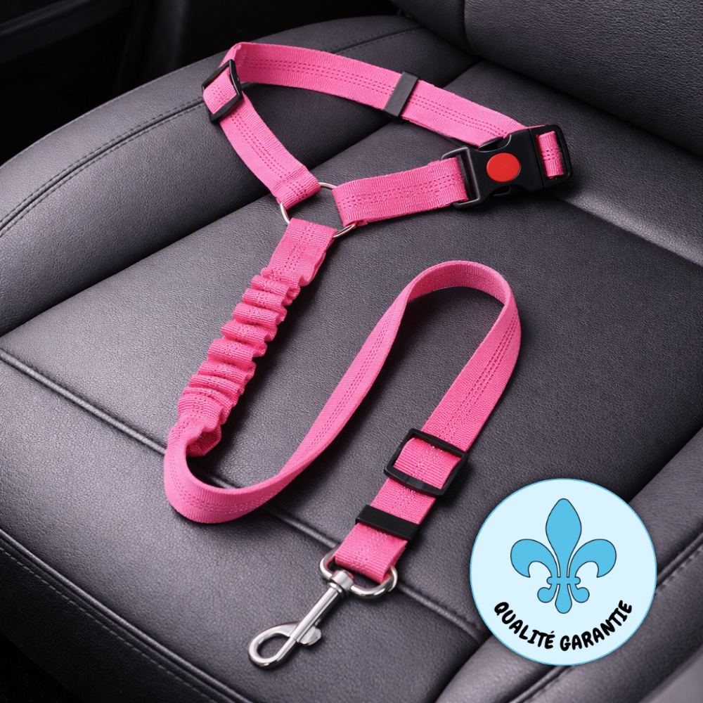 Dog Seat Belt