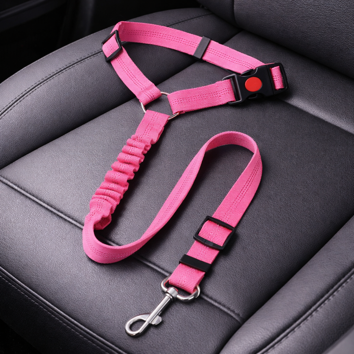 Dog Seat Belt