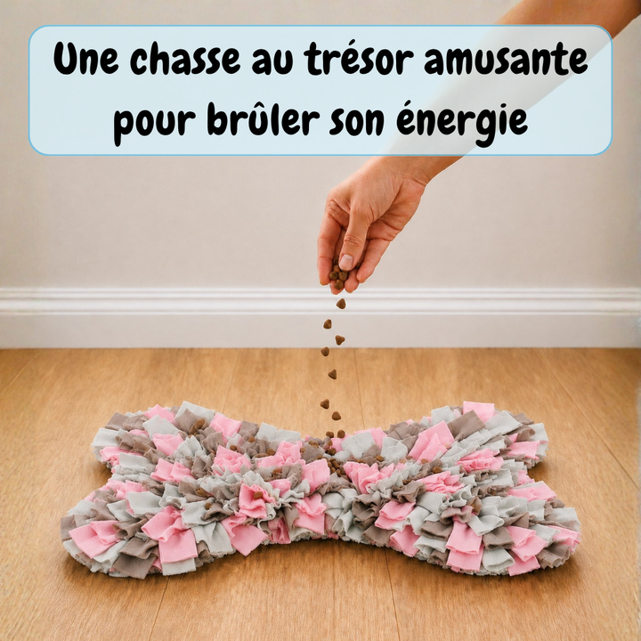 Tapis de fouille