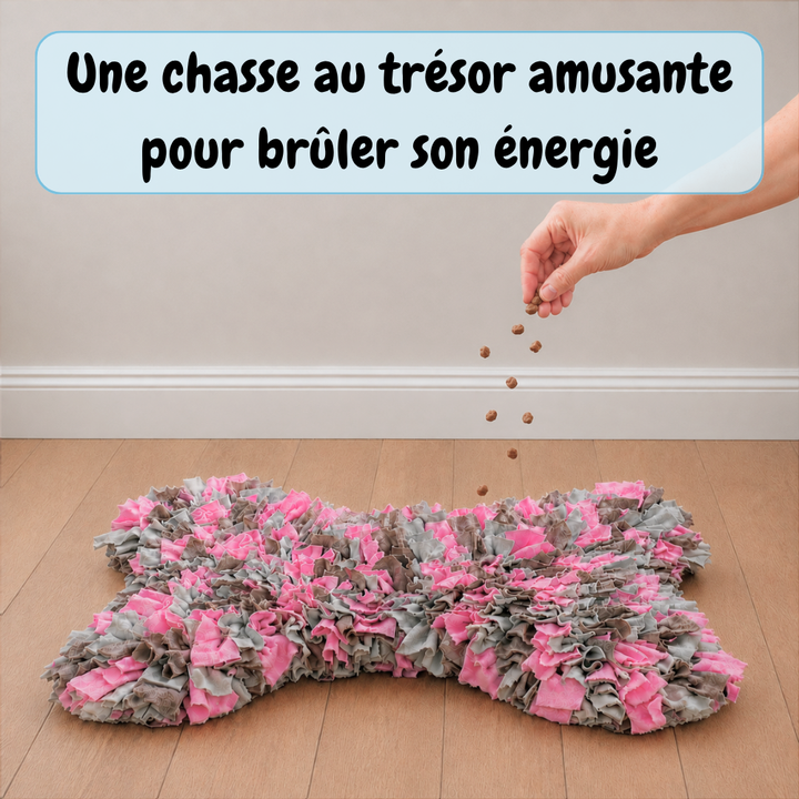 Tapis de fouille
