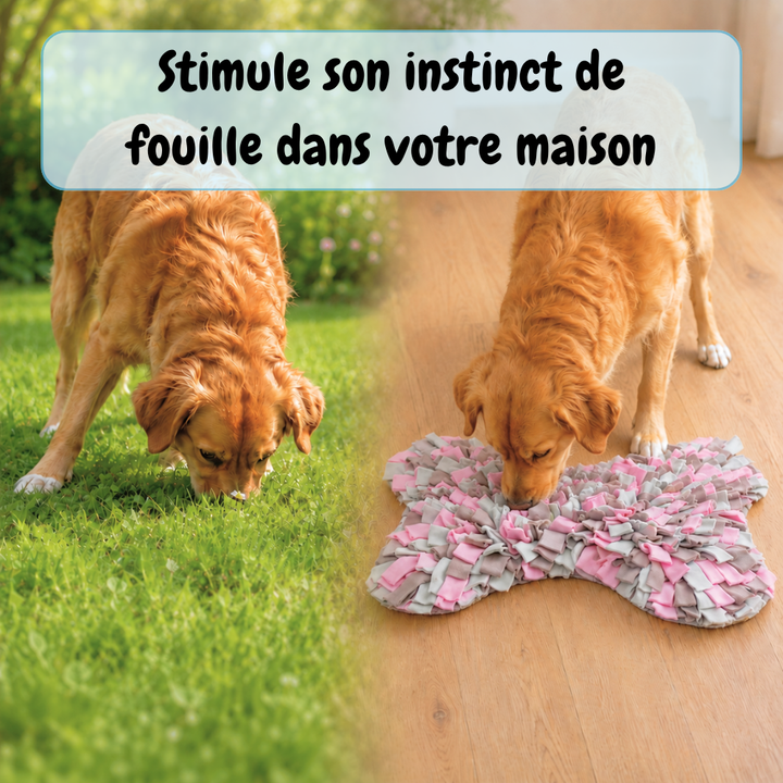 Tapis de fouille