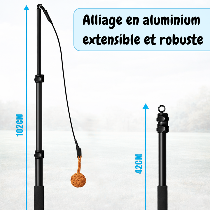 Bâton de poursuite