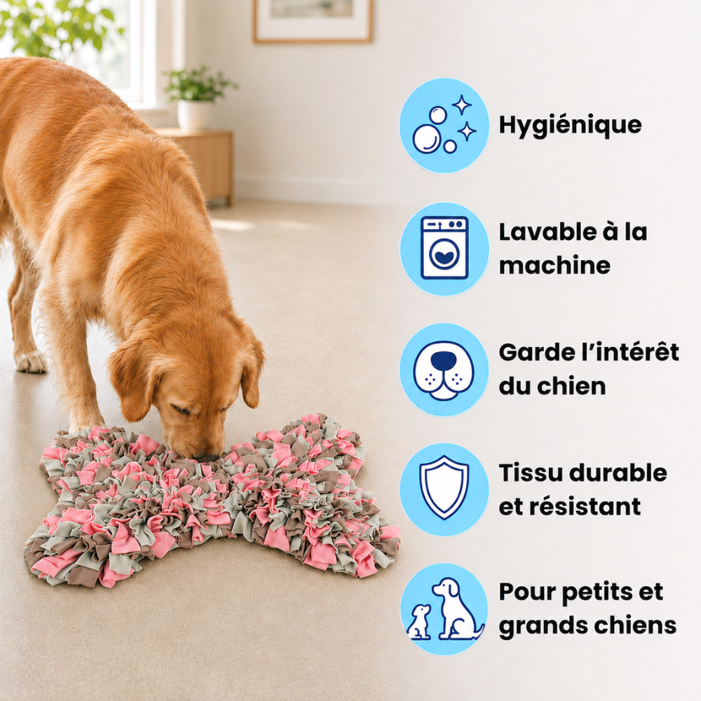 Tapis de fouille