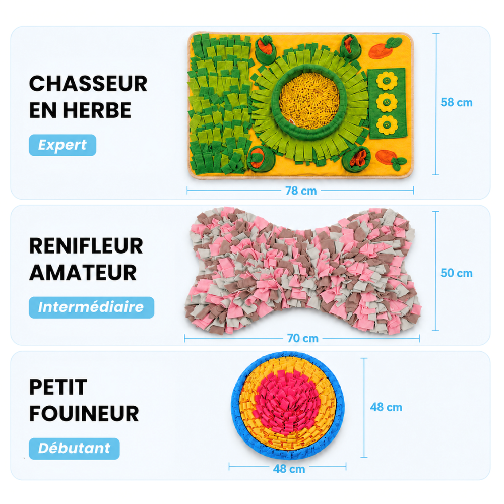 Tapis de fouille