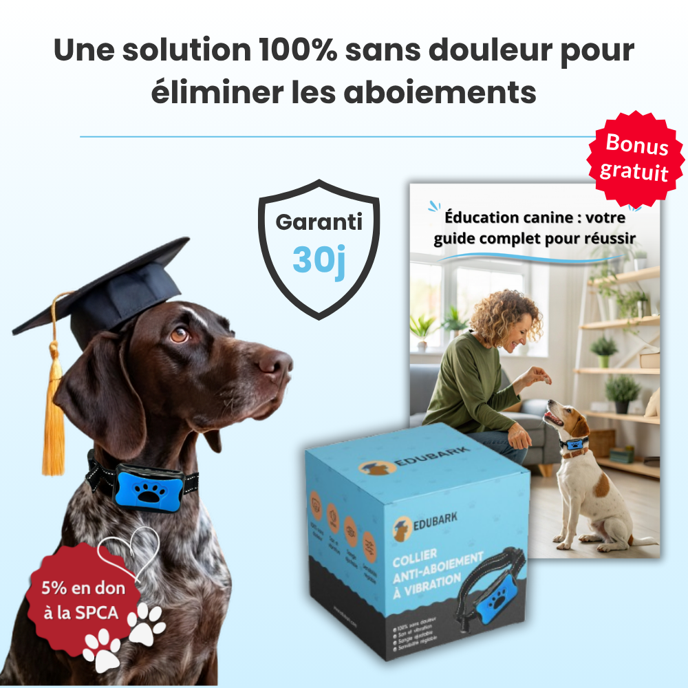 Nos produits de bien-être canin