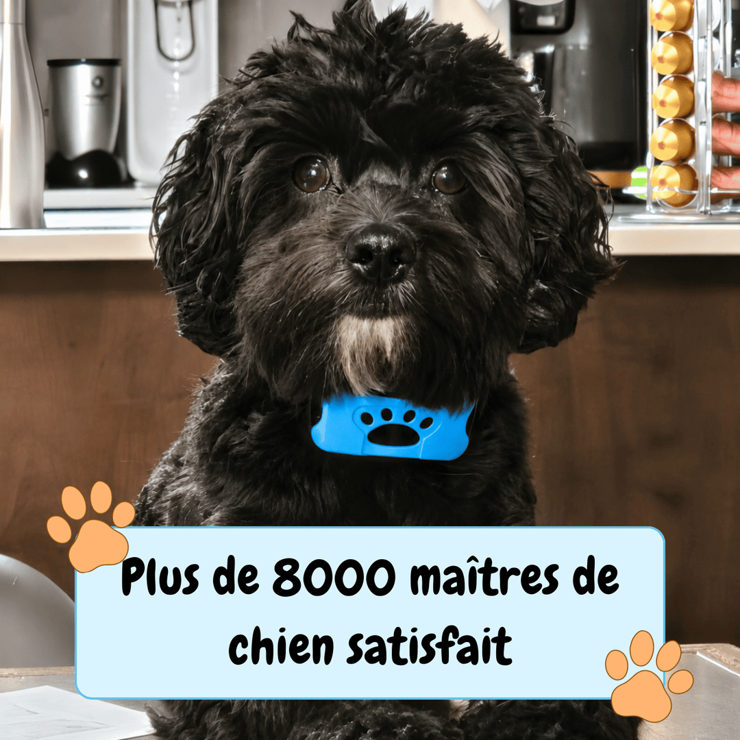 Collier Anti-aboiement EduBark