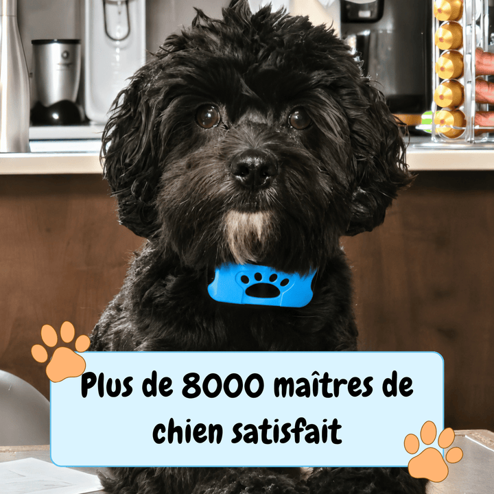 Collier Anti-aboiement EduBark
