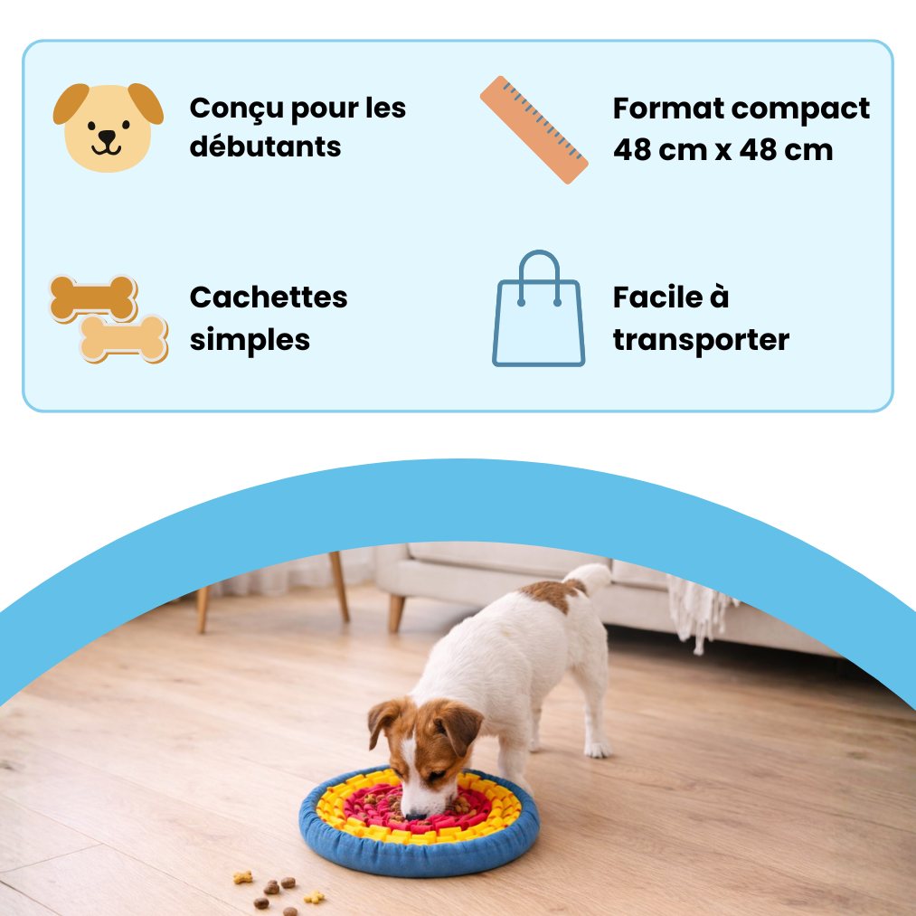 Tapis de fouille