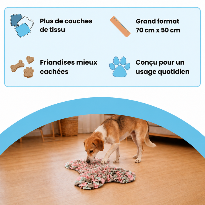 Tapis de fouille