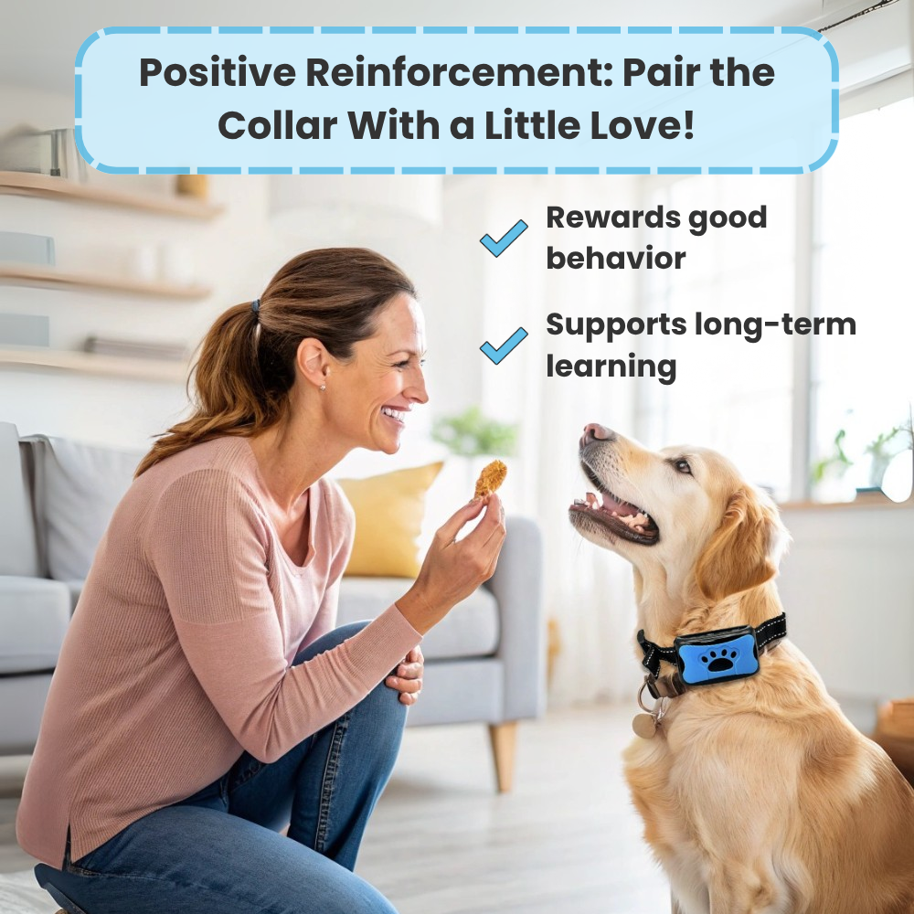 EduBark™ Anti-Bark Collar