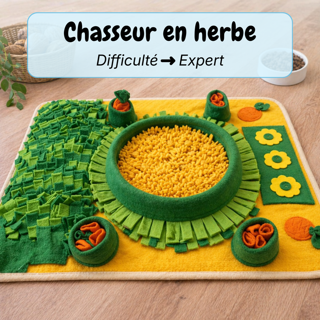 Tapis de fouille