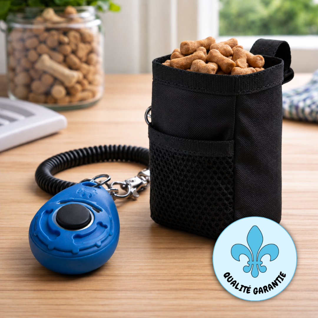 Kit de dressage