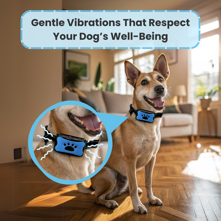 EduBark™ Anti-Bark Collar