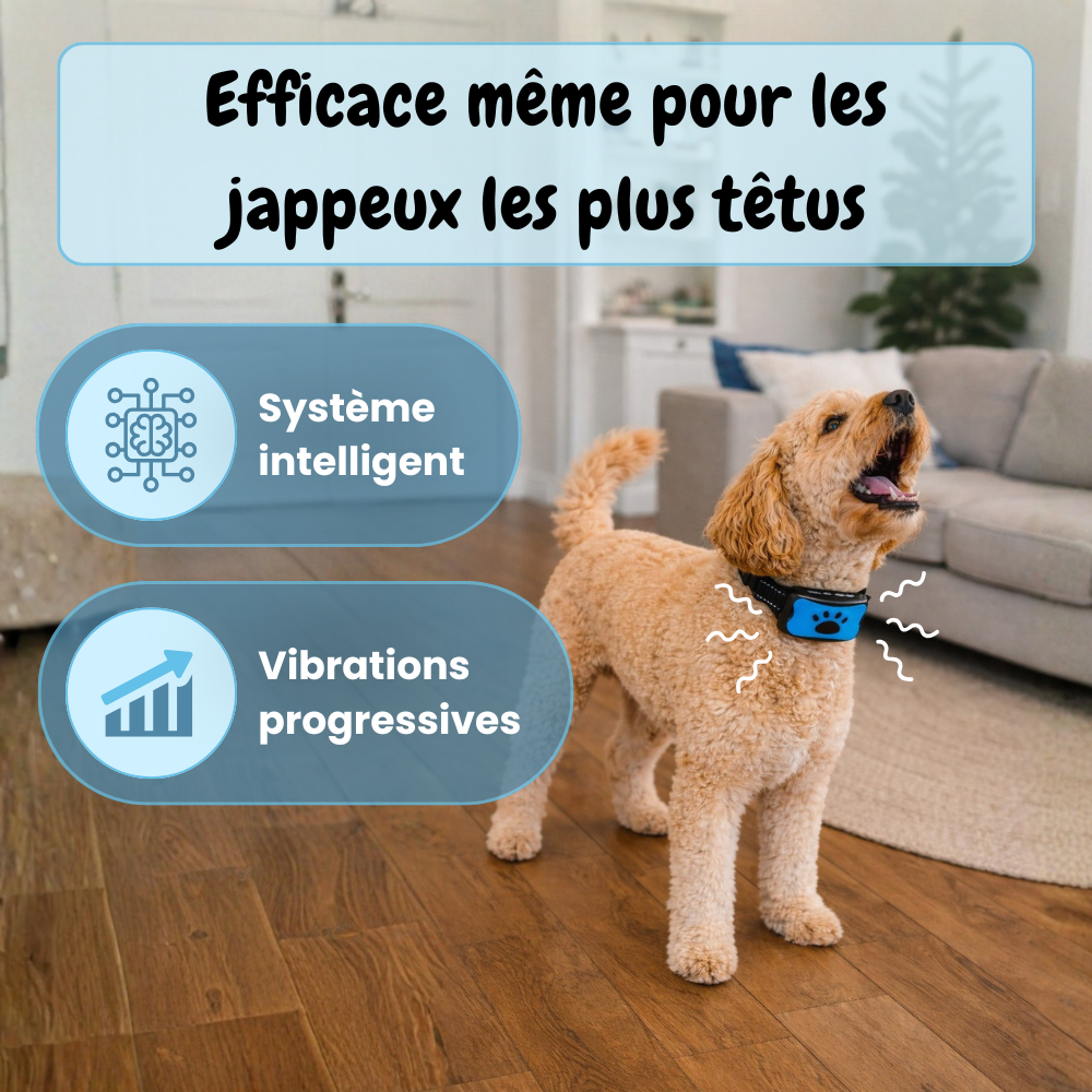 Collier Anti-aboiement EduBark™