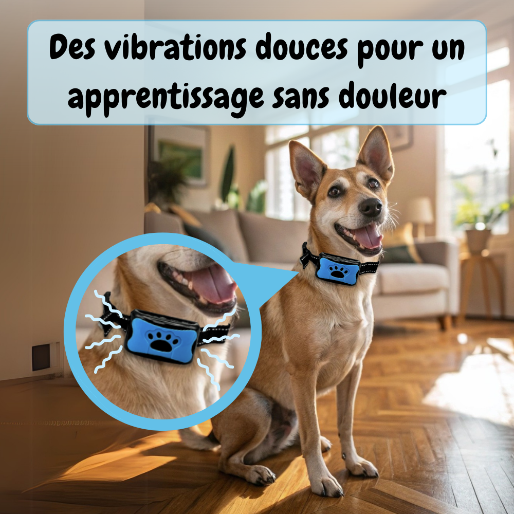 Collier Anti-aboiement EduBark™