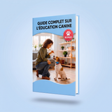 Guide d'éducation