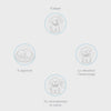 advertorial cycle bichon v2