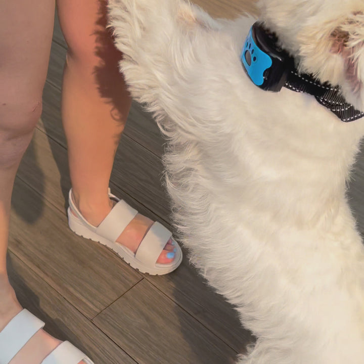 Collier Anti-aboiement EduBark™
