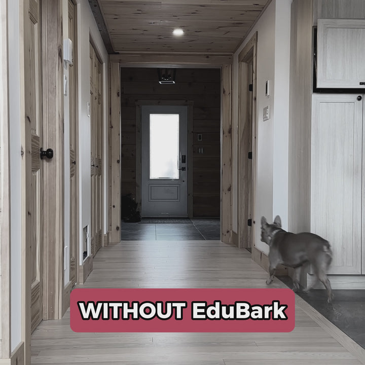 EduBark Anti-Bark Collar