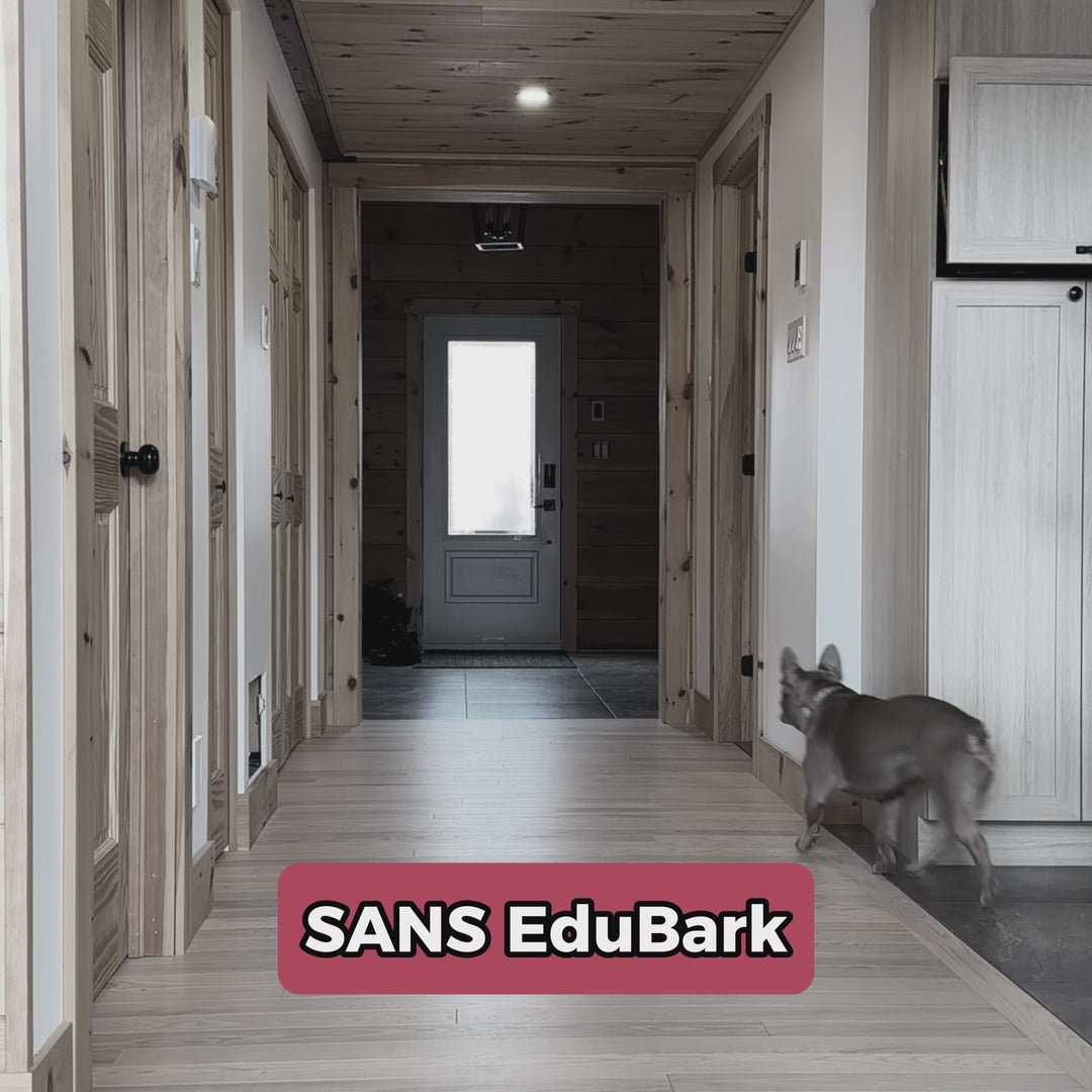 Collier anti-aboiement EduBark™